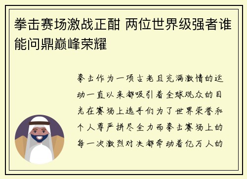 拳击赛场激战正酣 两位世界级强者谁能问鼎巅峰荣耀
