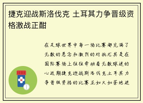 捷克迎战斯洛伐克 土耳其力争晋级资格激战正酣